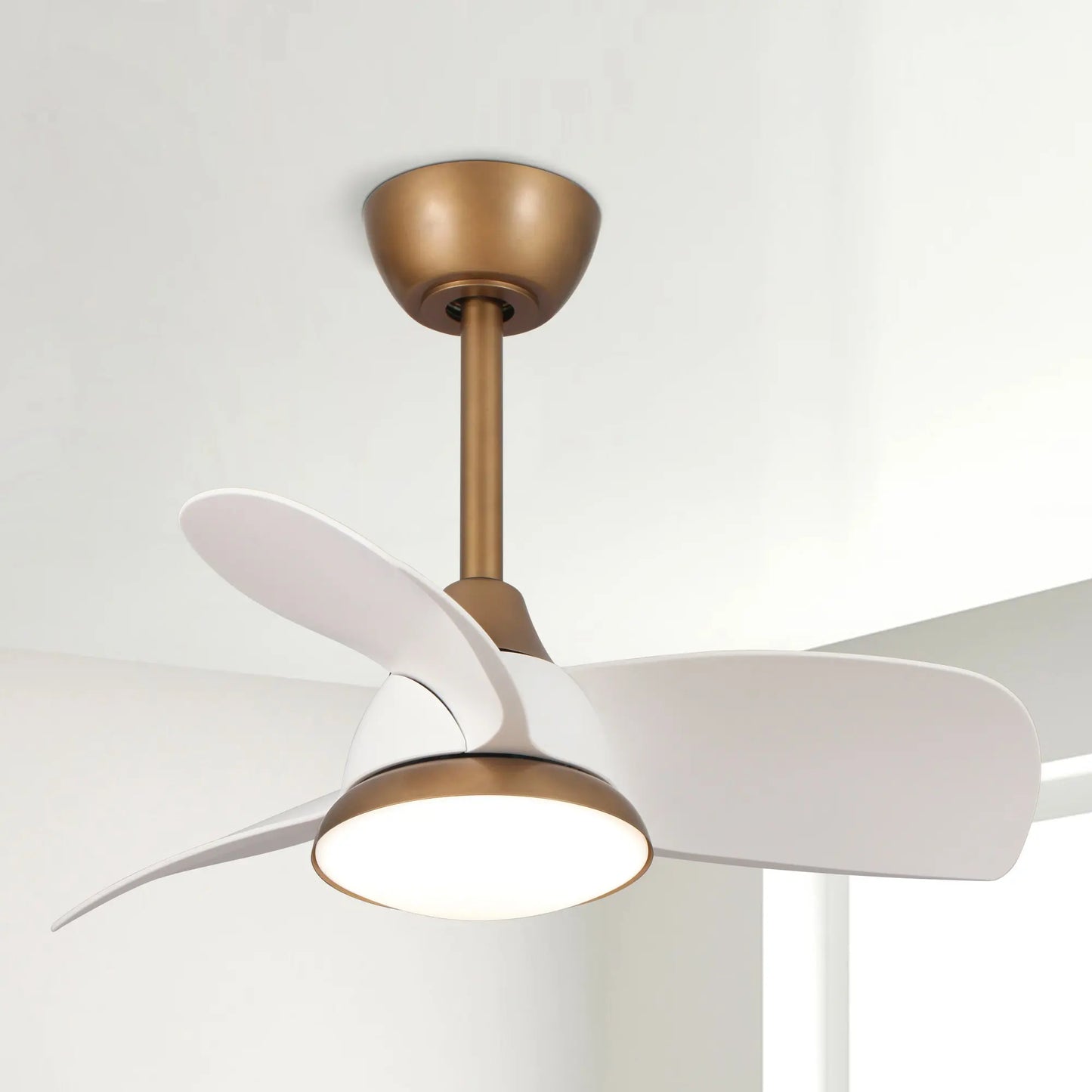 Parrot Uncle 28-Inch Modern DC Motor Indoor 3 Reversible Blades Ceiling Fan with LED Lighting and Remote Control, 3000/4000/6000K