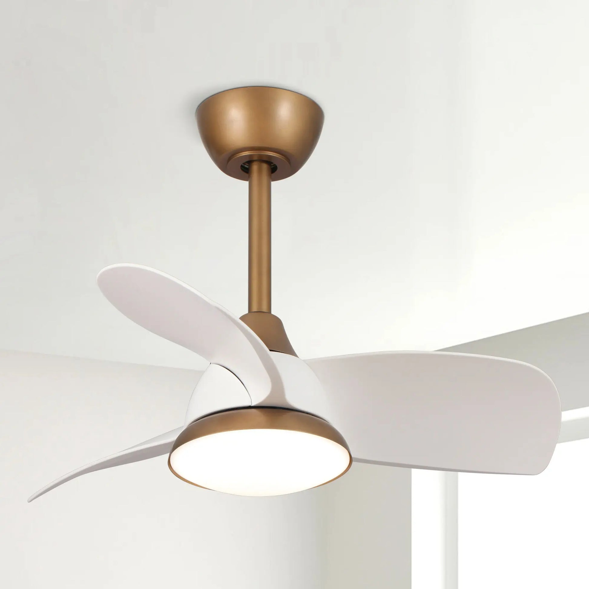 Parrot Uncle 28-Inch Modern DC Motor Indoor 3 Reversible Blades Ceiling Fan with LED Lighting and Remote Control, 3000/4000/6000K