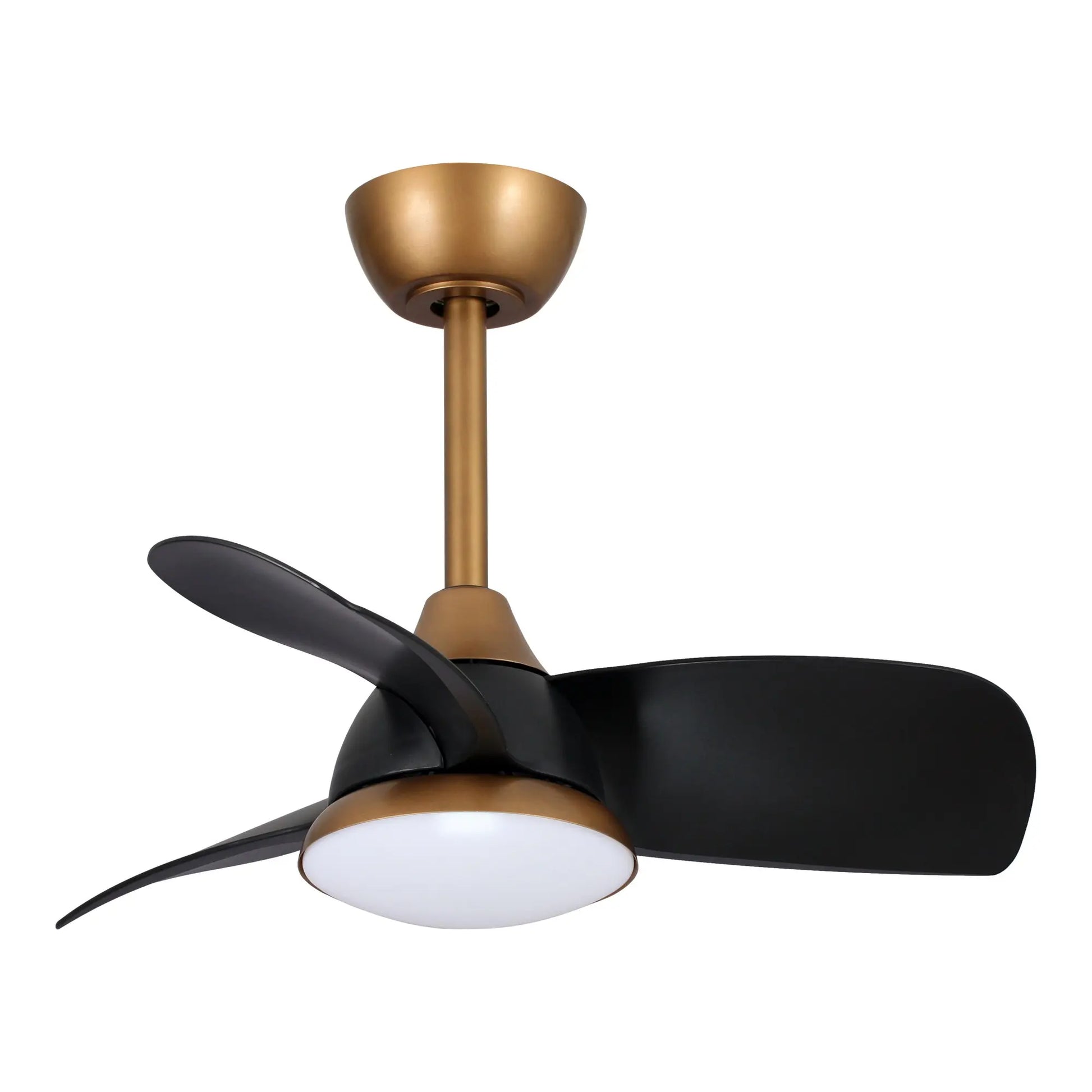 Parrot Uncle 28-Inch Modern DC Motor Indoor 3 Reversible Blades Ceiling Fan with LED Lighting and Remote Control, 3000/4000/6000K