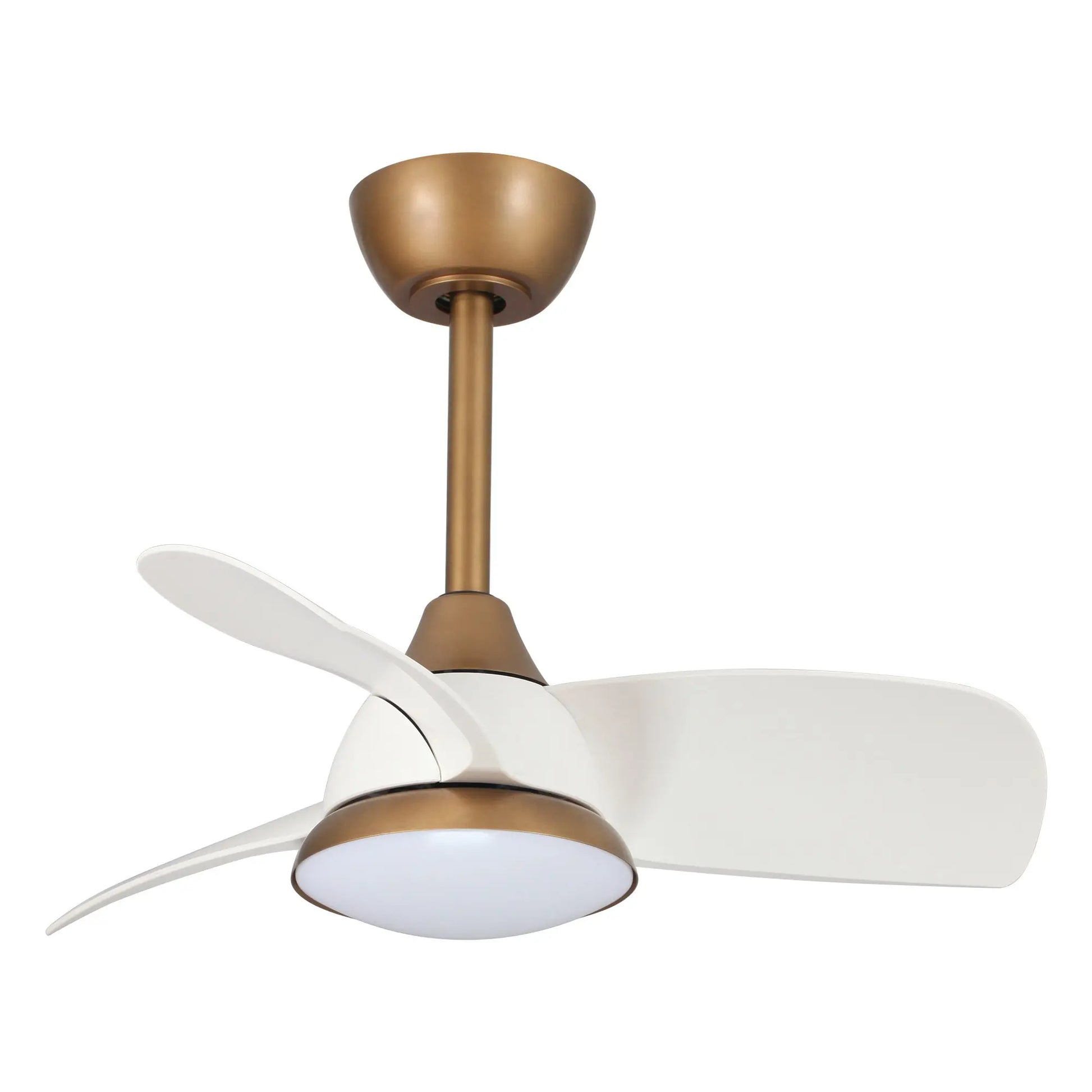 Parrot Uncle 28-Inch Modern DC Motor Indoor 3 Reversible Blades Ceiling Fan with LED Lighting and Remote Control, 3000/4000/6000K
